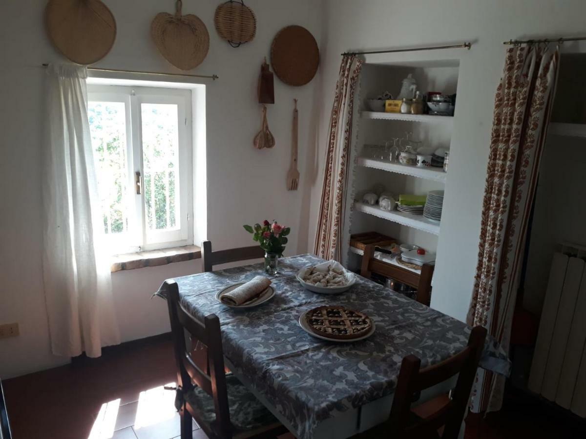 B&B I Canonici Urbino Eksteriør billede