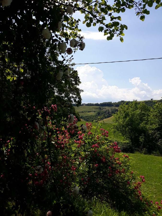 B&B I Canonici Urbino Eksteriør billede